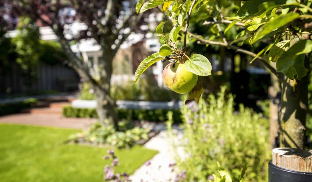 Twee-onder-een-kapwoning Aerdenhout 12