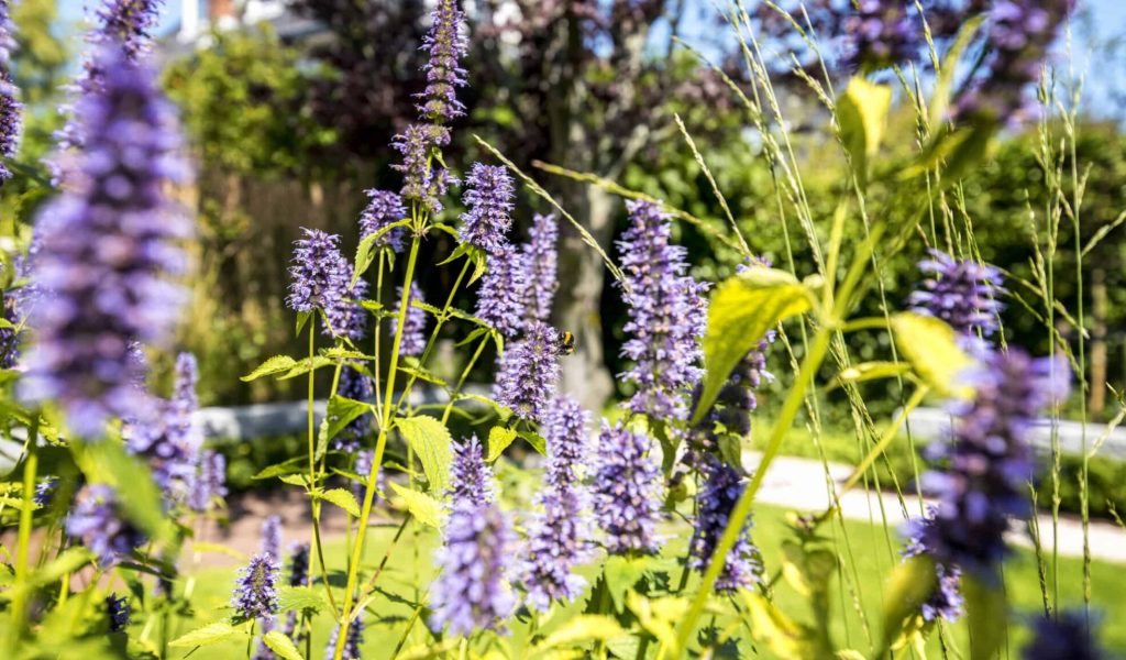 Twee-onder-een-kapwoning Aerdenhout 13 Twee-onder-een-kapwoning Aerdenhout 13
