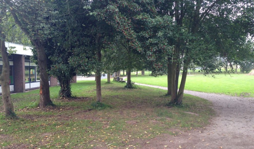 Groeneschoolplein-Zwaanshoek-17 Groeneschoolplein-Zwaanshoek-17