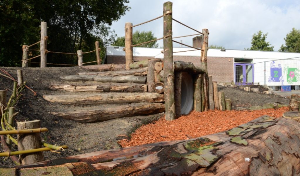 Groeneschoolplein-Zwaanshoek-26