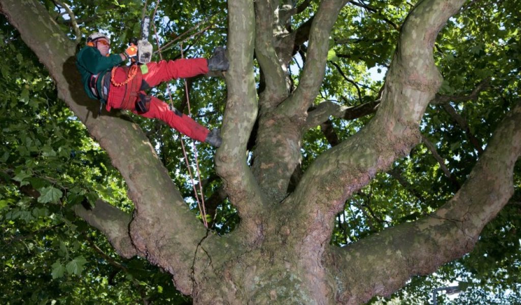 Stukart-0038 Stukart-0038