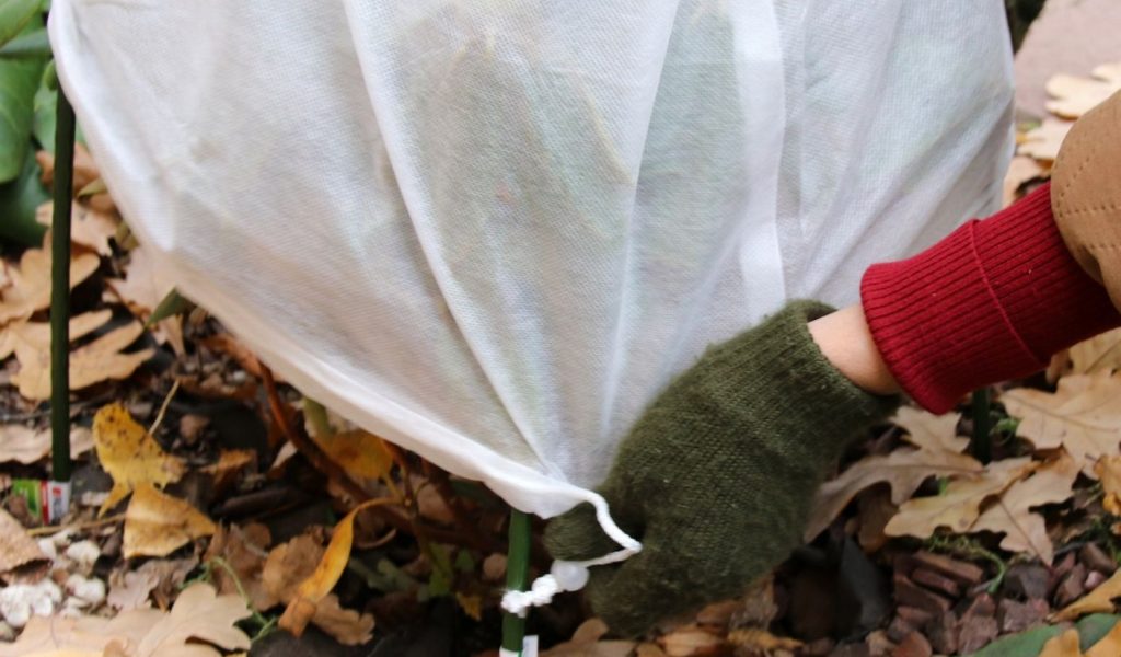 Hoe bescherm jij je tuin in de winter.