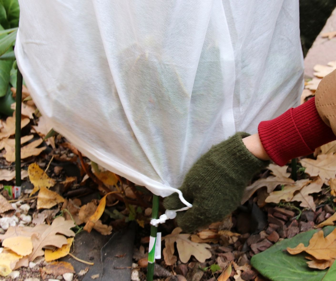 Hoe bescherm jij je tuin in de winter.