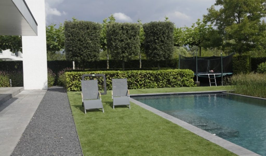 Zwemvijver-Livingpool-Zwaanshoek-210