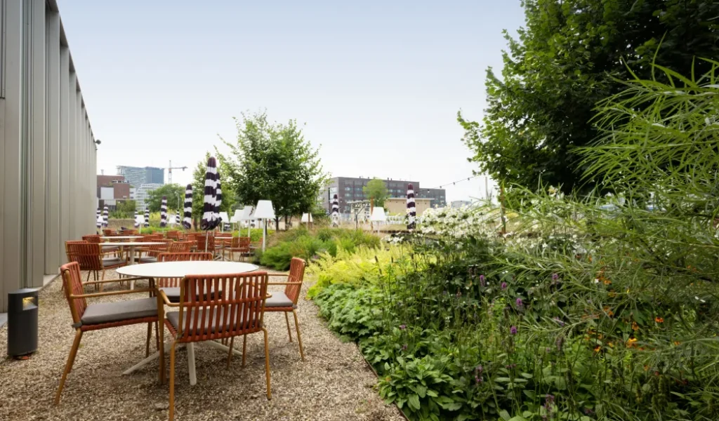 Duurzame bloementuin met groen dak in Yotel 5